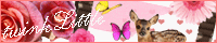 http://littletwinkle.namidaame.com/banner.gif